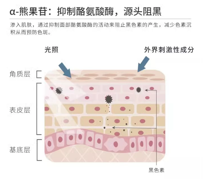 专业药剂师都没法拒绝的女生沐浴露推荐2023年无限回