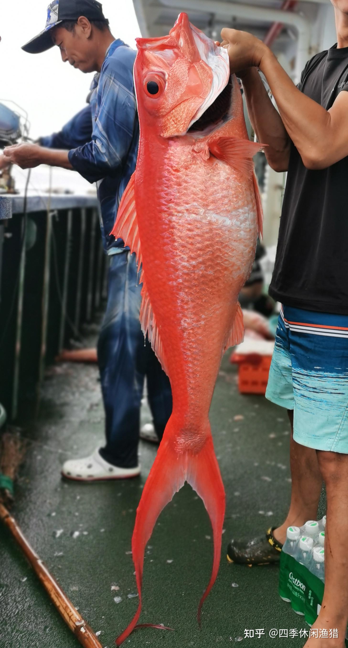 走!跟着风哥去看看海钓人的珠穆朗玛峰-南沙群岛