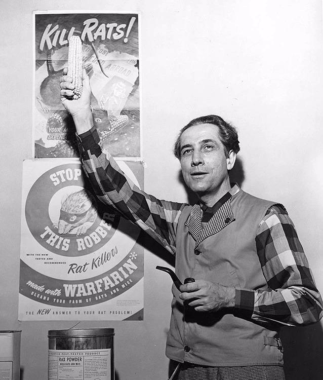 林克教授为warfarin灭鼠药作宣传作为最畅销的灭鼠药,华法林到现在还