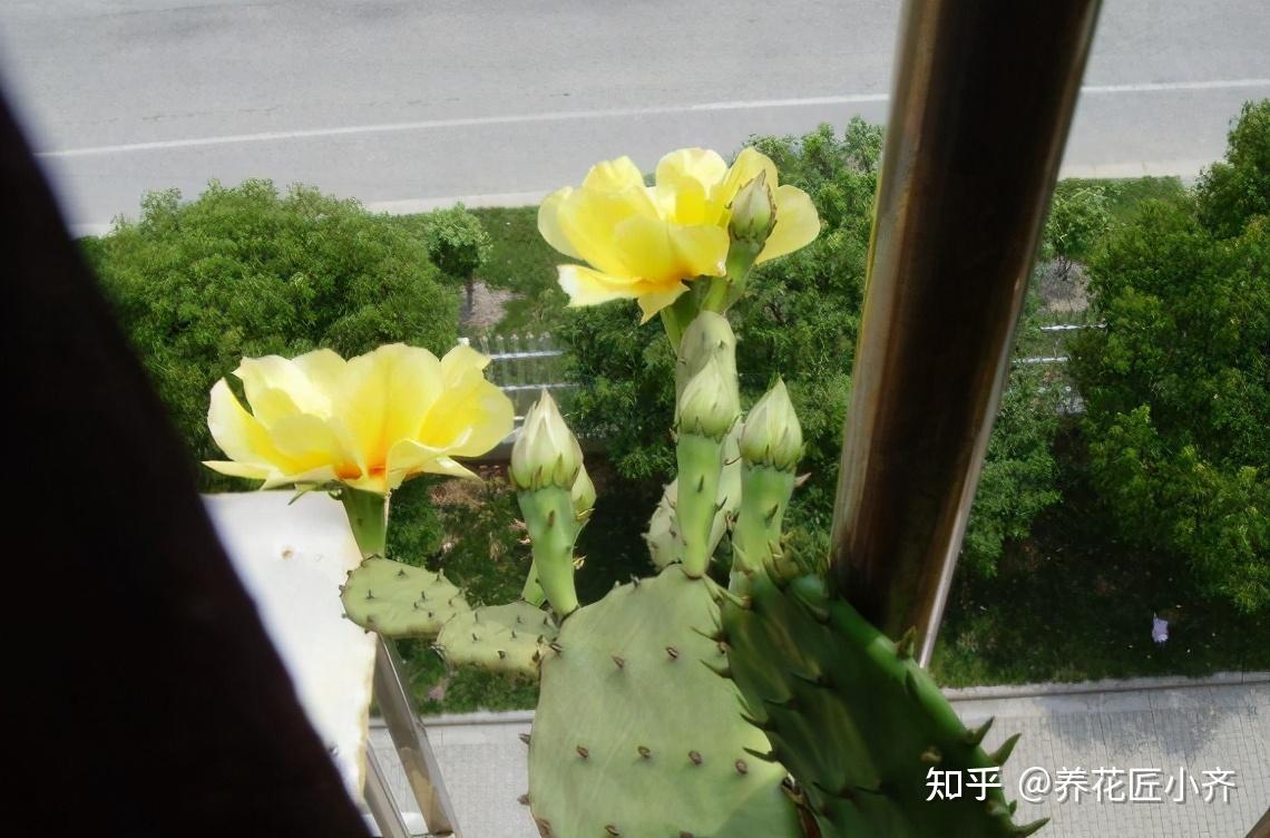v2-b70862f0a3940bfb8718ff24db6e4145_r.jpg