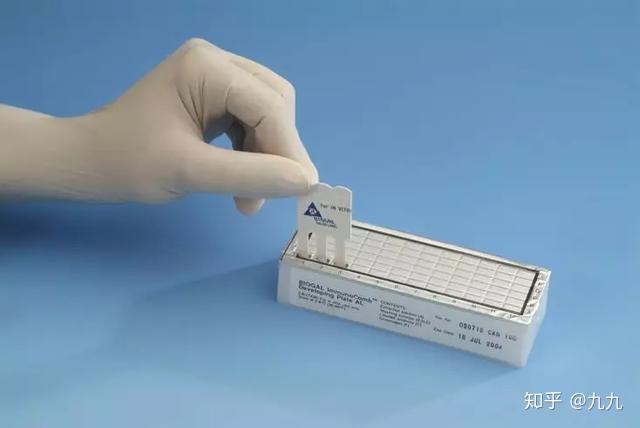 拜奥高犬猫抗体检测