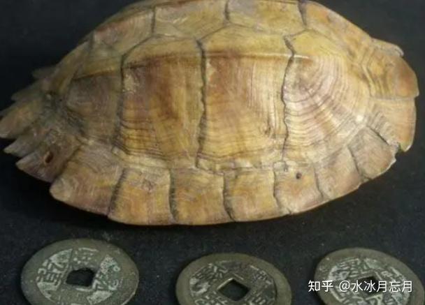 “数”说周易之25：伏羲画卦，阴阳符号卦在数字卦之前产生 - 知乎