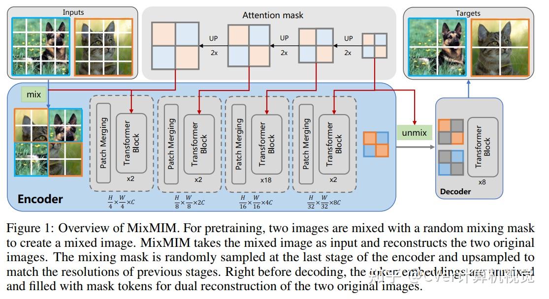 mixmim:用于高效视觉表示学习的混合和掩码图像建模 - 知乎