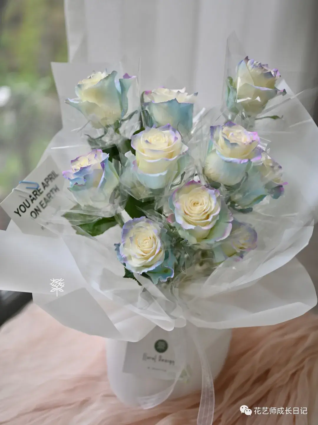 15 | 北极光玫瑰,如北极光般梦幻的颜色! - 知乎