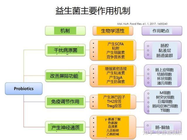 不同的益生菌发挥作用的机制又是什么呢?