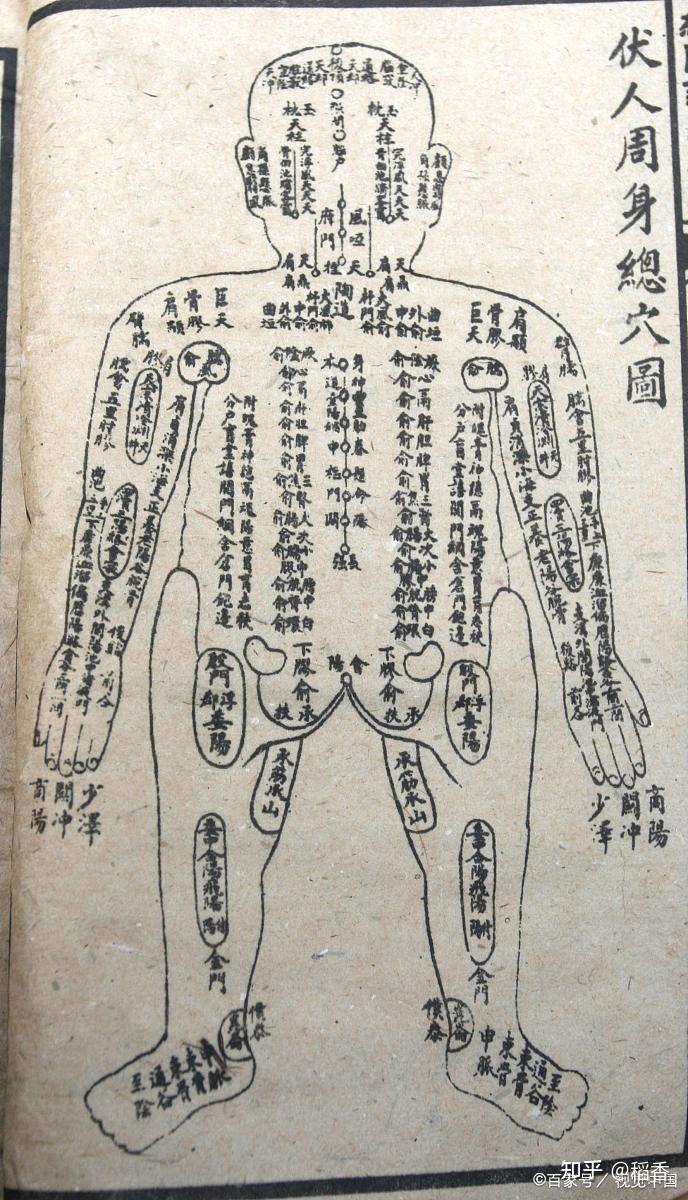 周天循环针灸开穴法 - 知乎