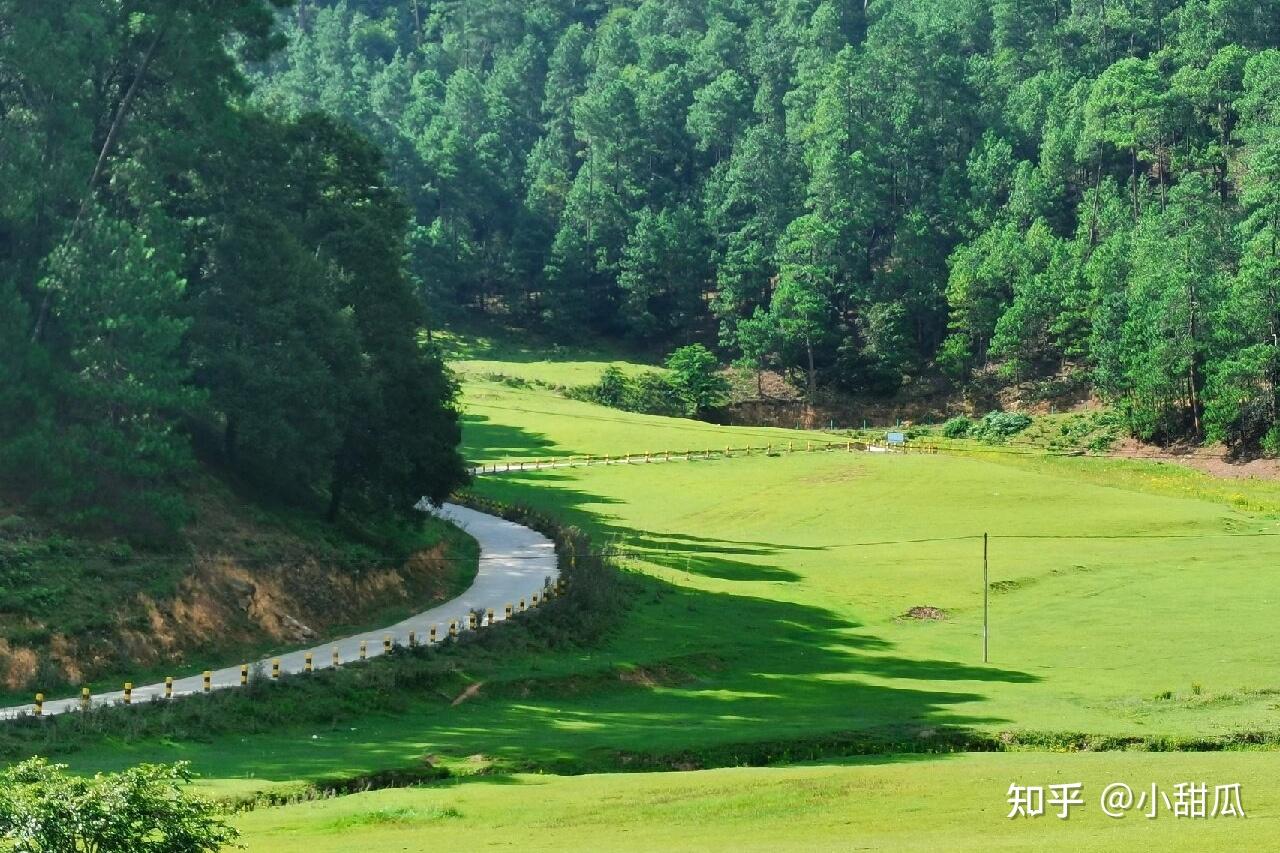 云龙县大浪坝风景区图片