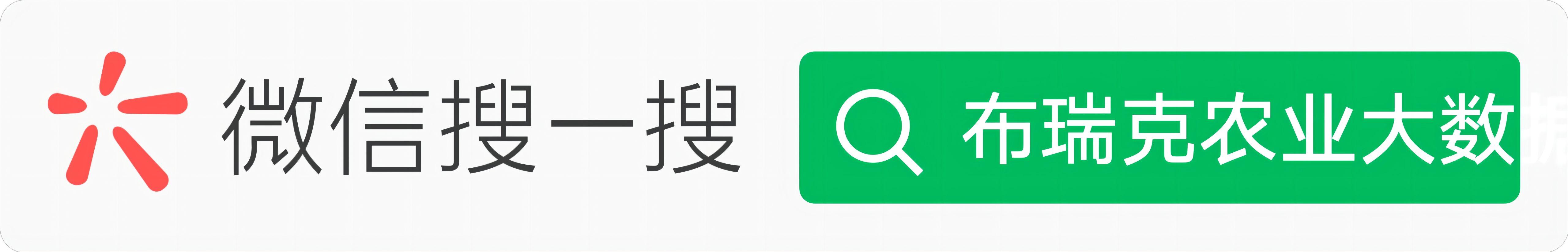 搜索平台=智能搜索平台