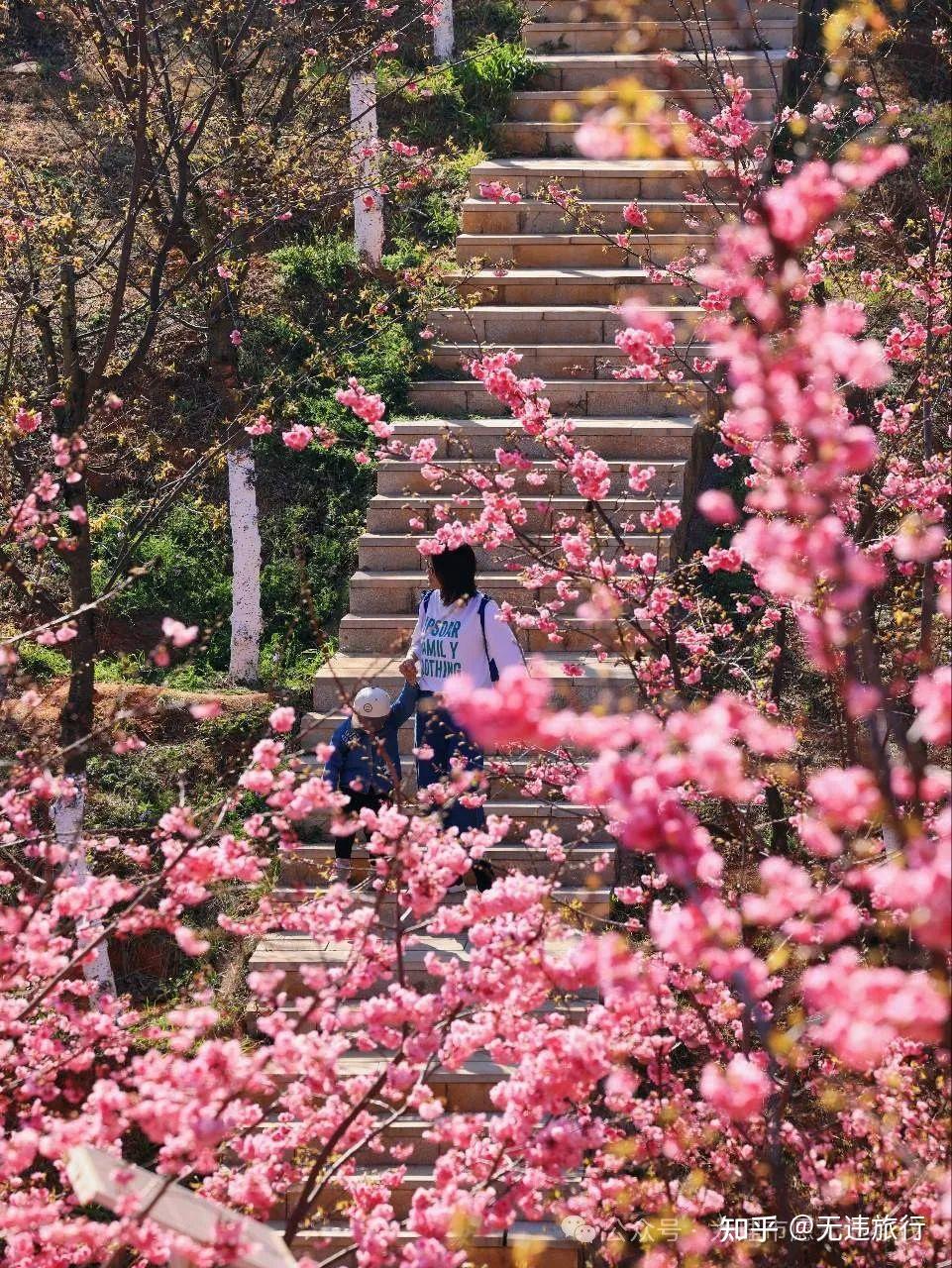 探秘湖南娄底神秘火炉山：云雾仙境与历史遗迹交相辉映