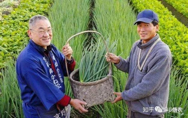 比山口组更牛逼的日本农协