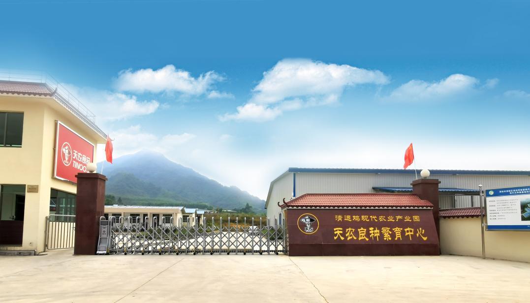 健康标杆品牌实力认证天农食品入选品牌强国先行工程