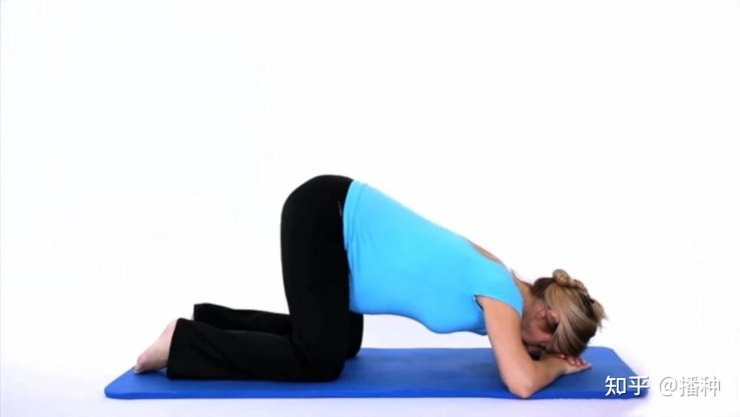 一种异常的子宫位置 | 子宫后位是否会造成不孕? - 知乎