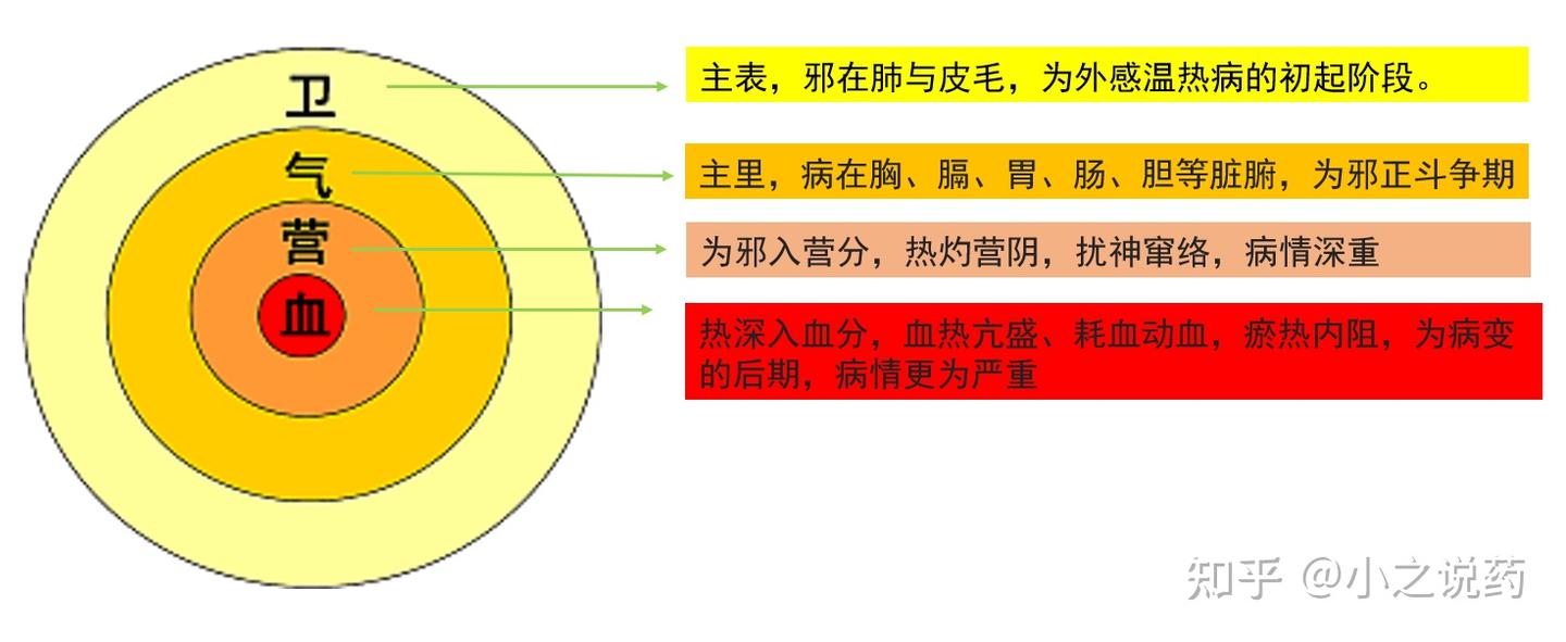 中医药发展简史 - 知乎
