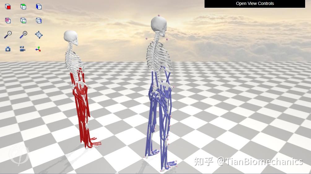 Opensim教程3-缩放、逆向运动学和逆向动力学 - 知乎