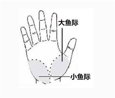 v2-b77424f9f91750db33001e1139982261_r.jpg