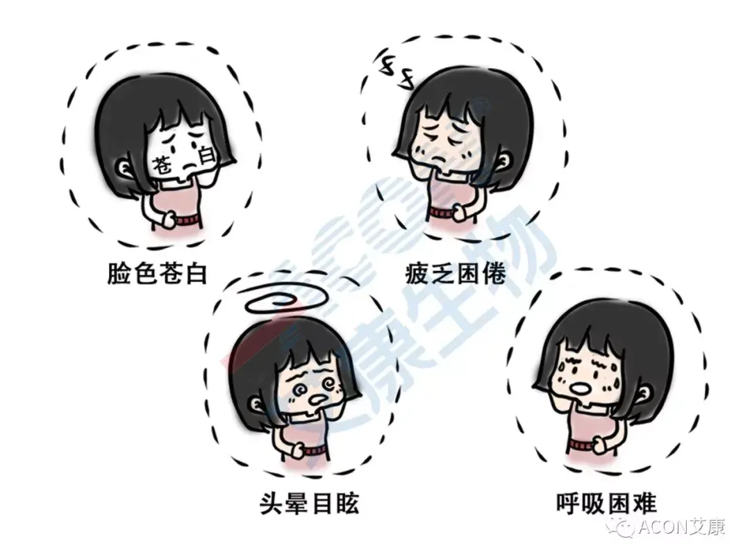 经常头晕是因为贫血吗