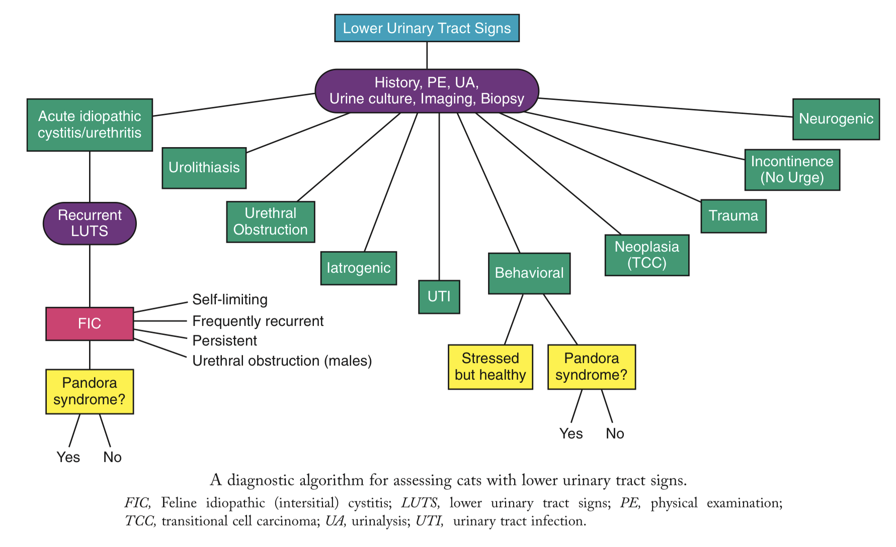 朴实无华的猫下泌尿道疾病科普