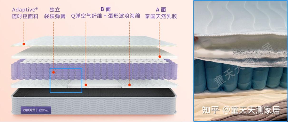 蓝盒子床垫拆解图片