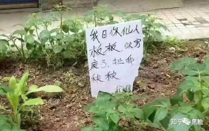 四川人对地震态度图片图片