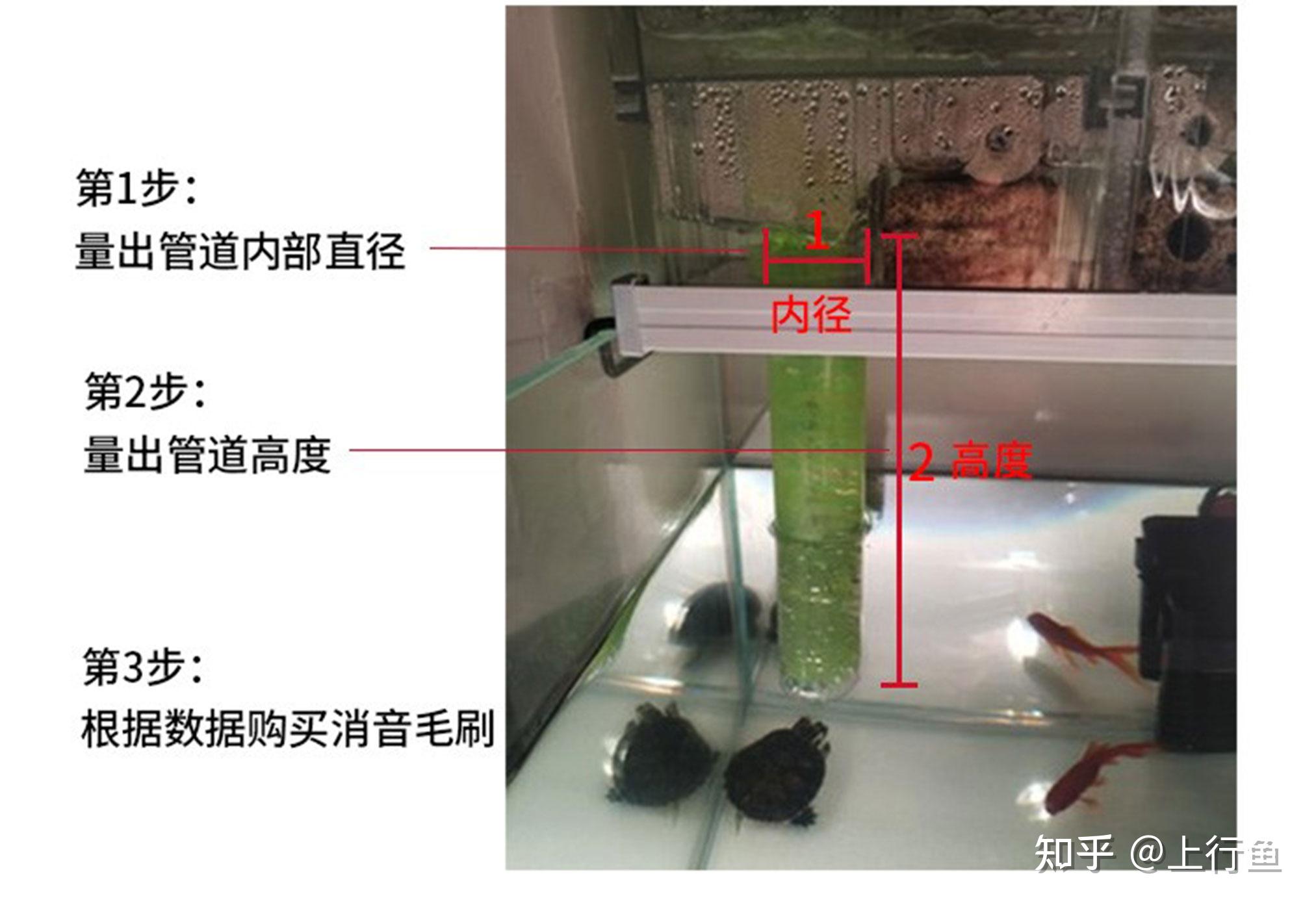 鱼缸下水口咕噜咕噜的响怎么办? - 知乎