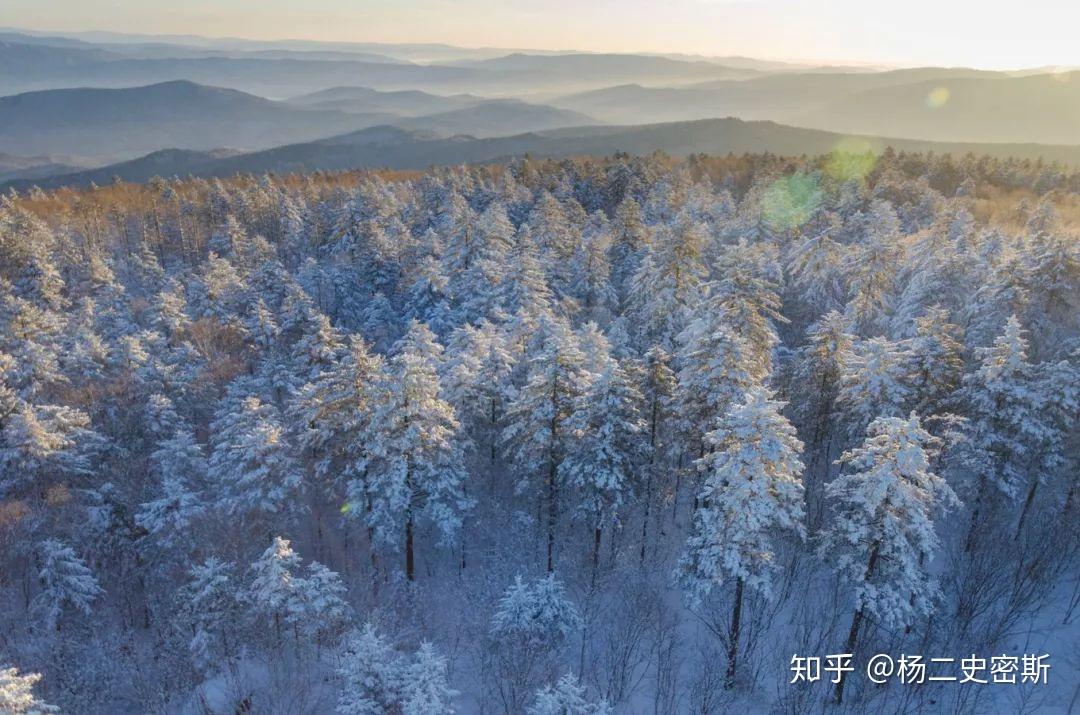 超小眾,北國秘境小興安嶺冬季旅遊詳細攻略 - 知乎