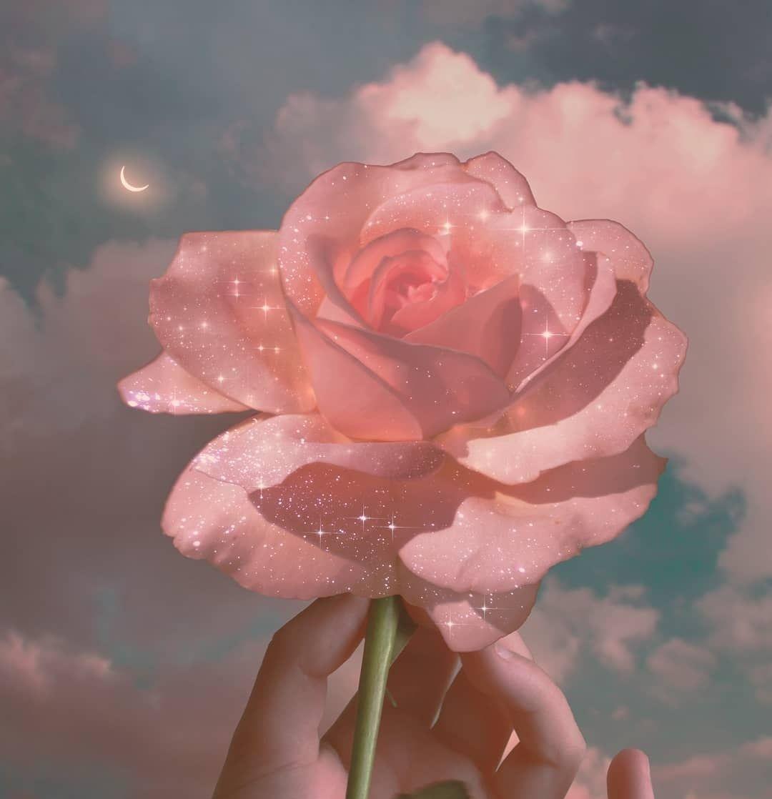 能分享一下仙气满满的微信头像吗