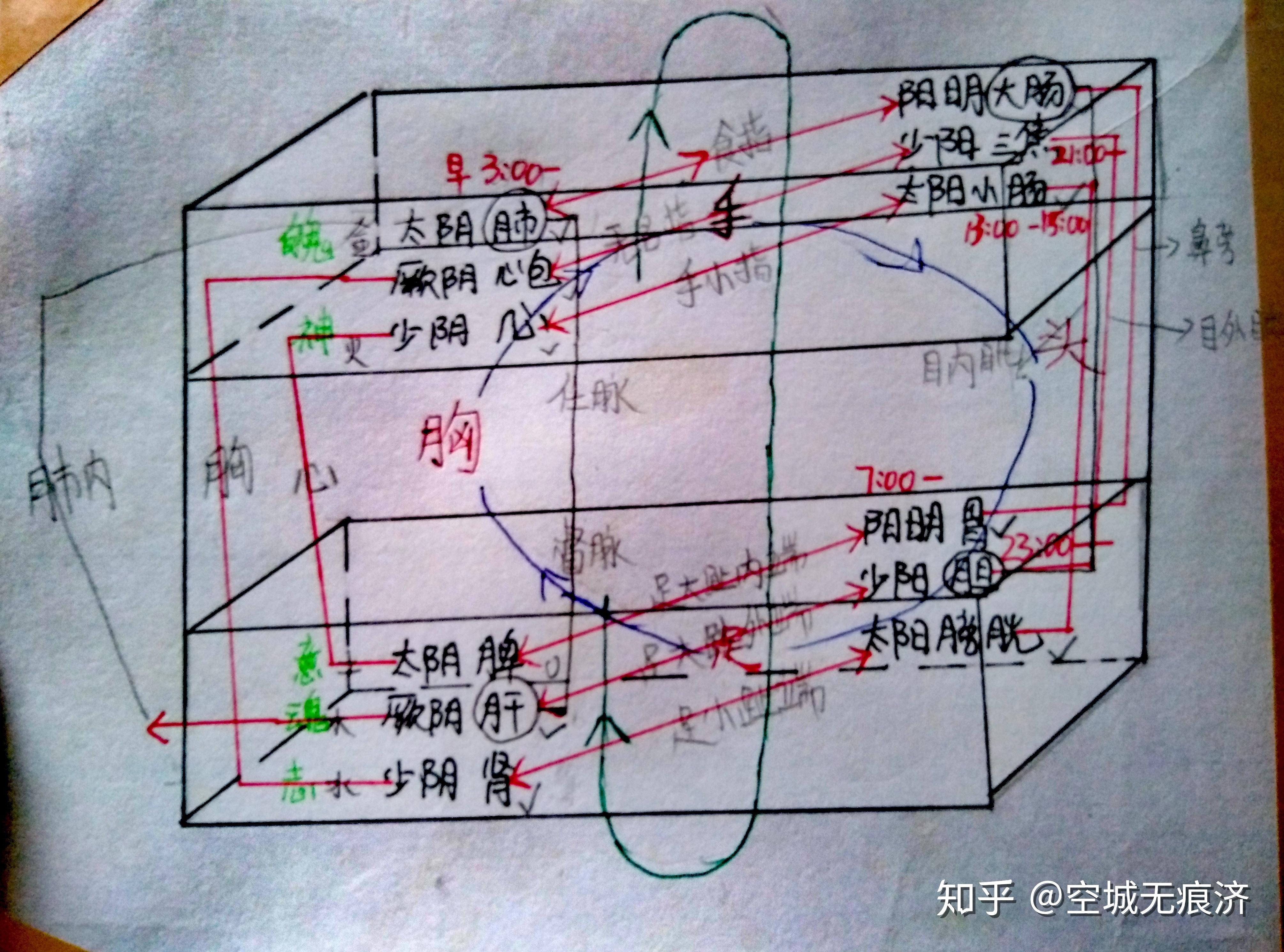 足三阳循经路线图片图片