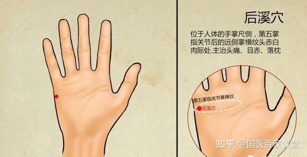 颈三针丨后溪穴、束骨穴、悬钟穴 - 知乎