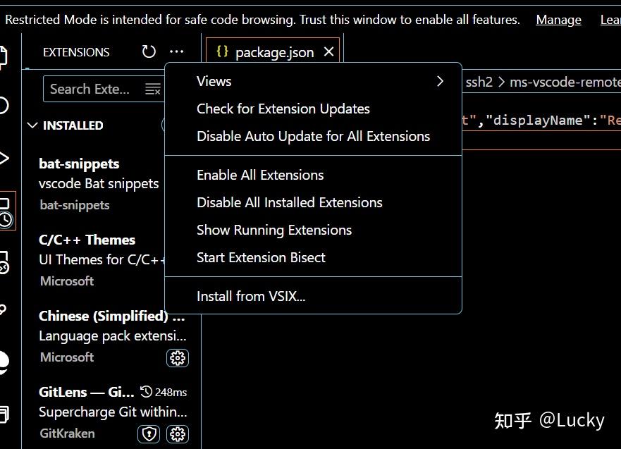 Python vscode server 