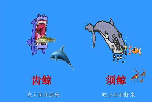 海马和鲸鱼哪个是真正的鱼_海马man是海马吗_彩虹鱼和大鲸鱼