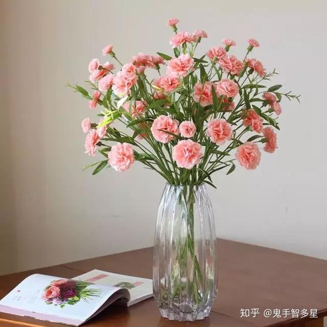 v2-b7ca3a3261d571721205760124cae05d_r.jpg