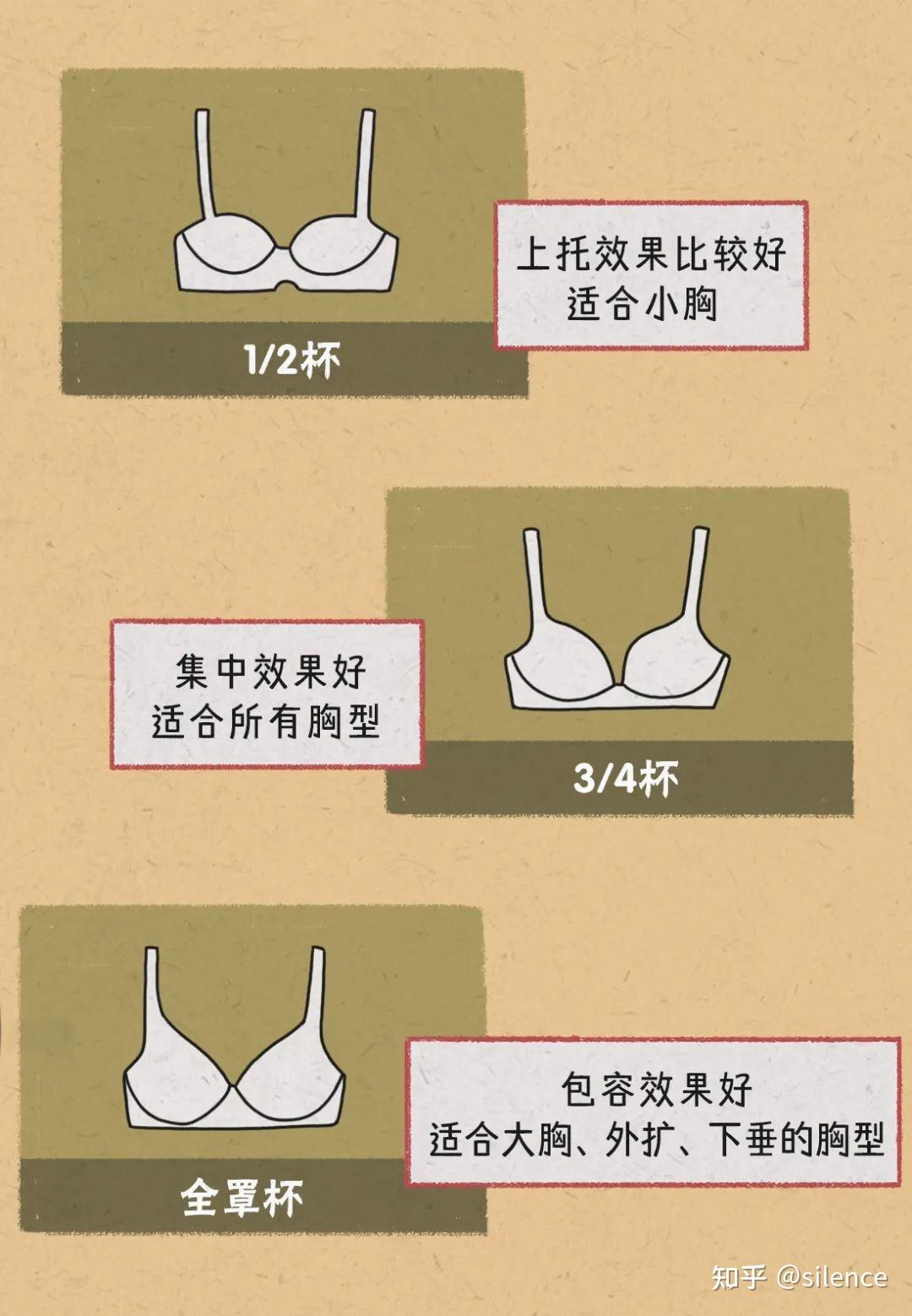 女人胸部的几种形状？ - 知乎