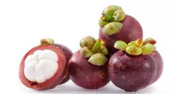 九个月可以吃山竹吗 v2-b7d6522668b4810b1e0a8ce26e099569_1440w.jpg?source=172ae18b