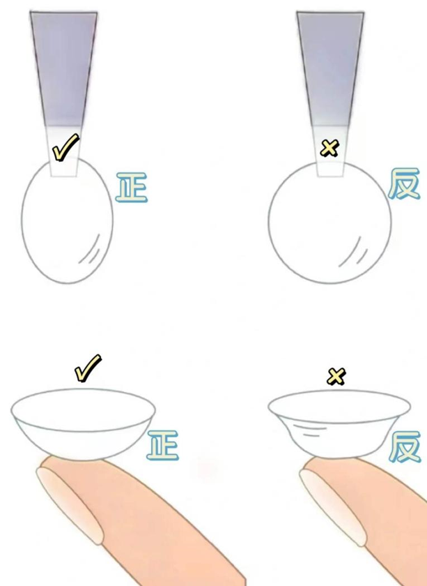 戴隐形眼镜技巧图片