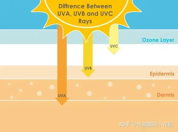 这条光带中到达地表的主要有紫外线,可见光,红外线.