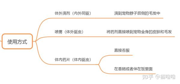 吸虫,绦虫的思维导图图片