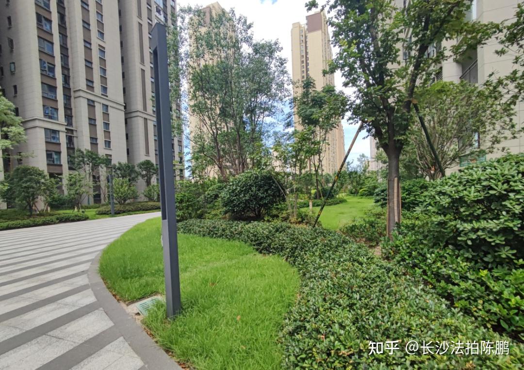 新出53套,长沙法拍房越来越多,5折多的不少! - 知乎