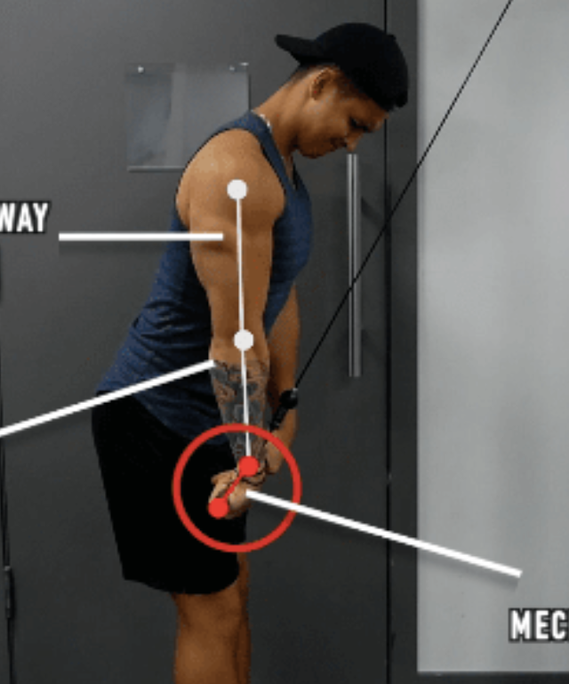 直杆 软绳臂屈伸