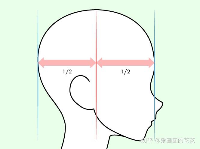 零基礎怎麼畫動漫耳朵