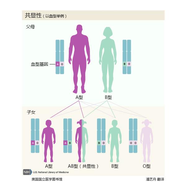 高阶科普:手把手教你看懂遗传模式,附一图看懂(2019-05-11,新增印记基因遗传模式) - 知乎