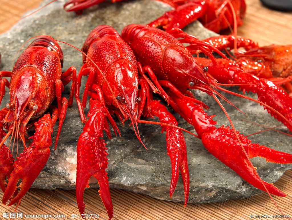 梦境奇缘,解析梦见好多煮熟的龙虾和大虾的深层含义 梦境奇缘,解析梦见好多煮熟的龙虾和大虾的深层含义