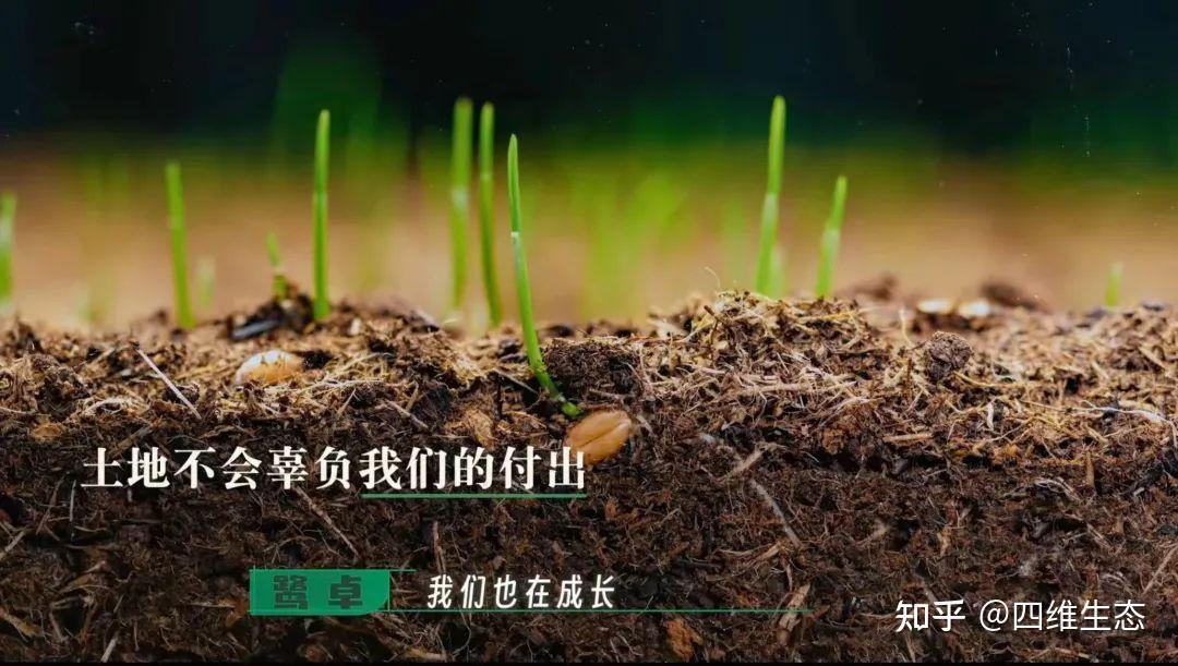 《种地吧》不仅是综艺,还是来自农业的呼唤 - 知乎