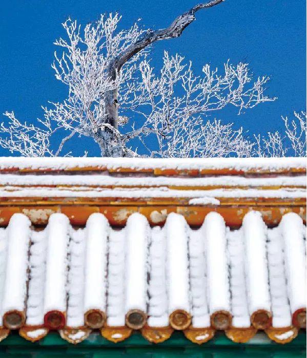 适合小学生的美术课故宫的雪02以故宫屋顶飞檐的一角为绘画主题