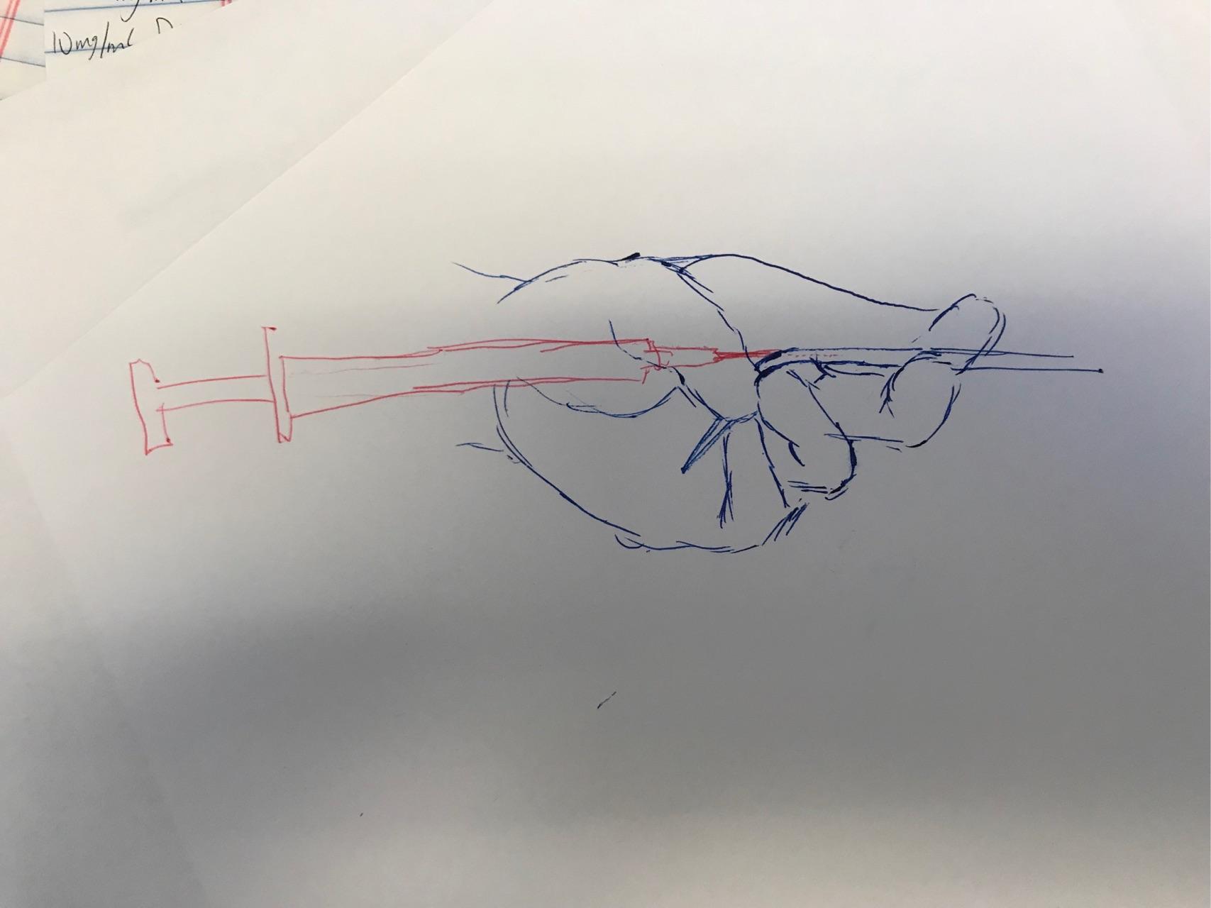 小鼠尾静脉注射操作需要注意什么?