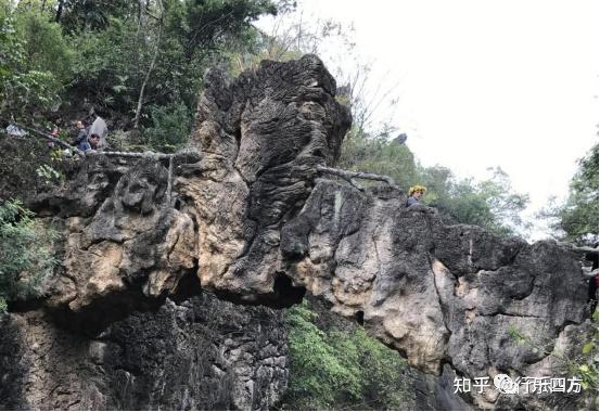 黄果树大瀑布细品-黄果树的瀑布短文答案