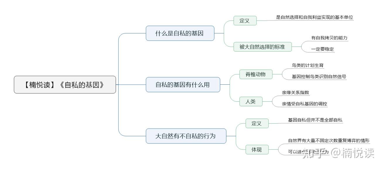 自然选择学说思维导图图片