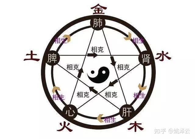 v2-b8760a9e763a915e8601cab5e867a6f5_r.jpg