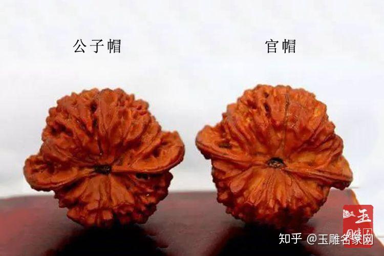 公子帽核桃特点公子帽核桃与官帽核桃的区别