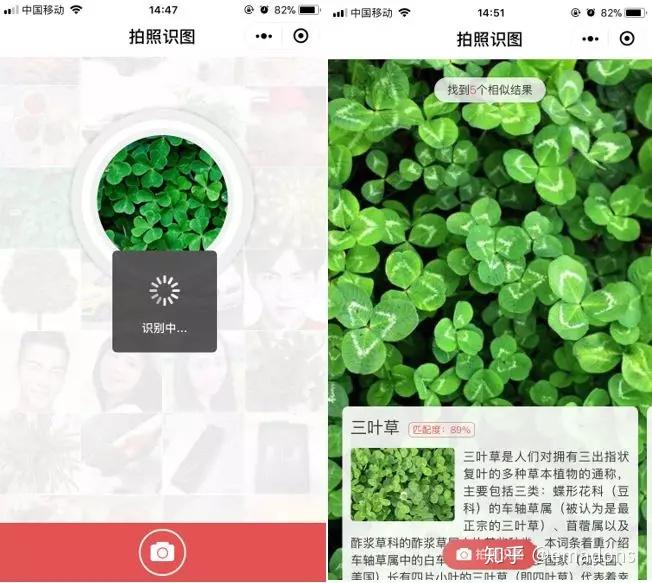 「拍照识图」小程序继承了当前最流行的搜索引擎,轻松帮你识别图片中