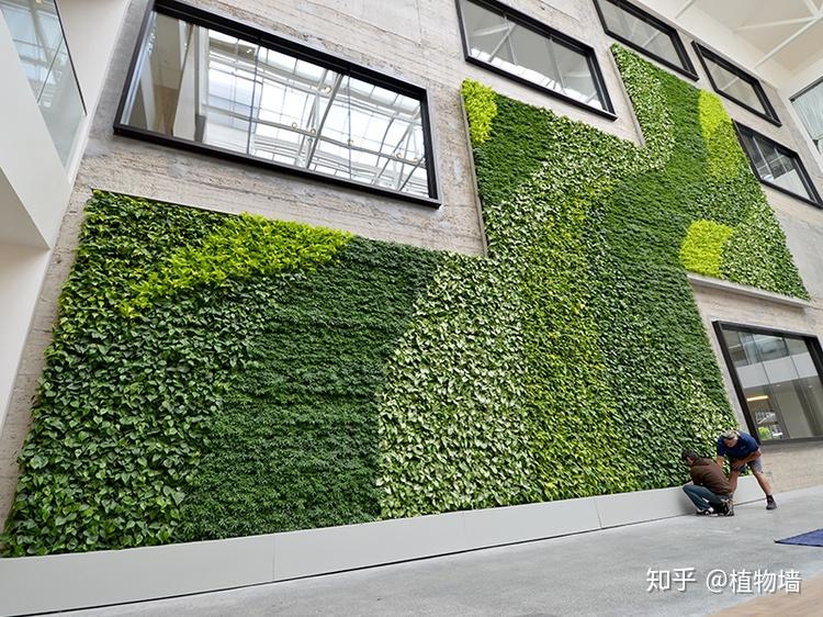 定制垂直绿化植物墙需要哪些条件垂直绿化墙的好处